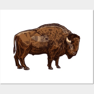 American Bison Distressed Buffalo Funny American Bison Posters and Art